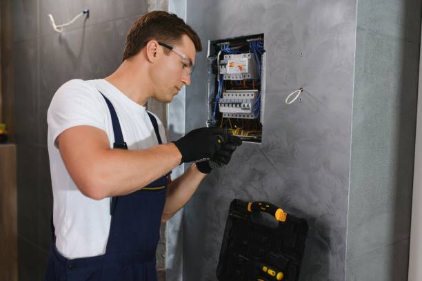 Best Electrical Rewiring Services  in Morrice, MI