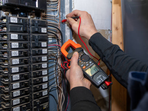 Best Ceiling Fan Installation Electrician  in Morrice, MI