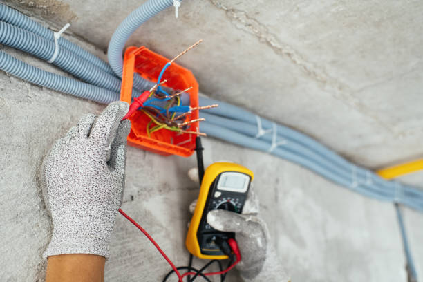 Best Licensed Electrician  in Morrice, MI